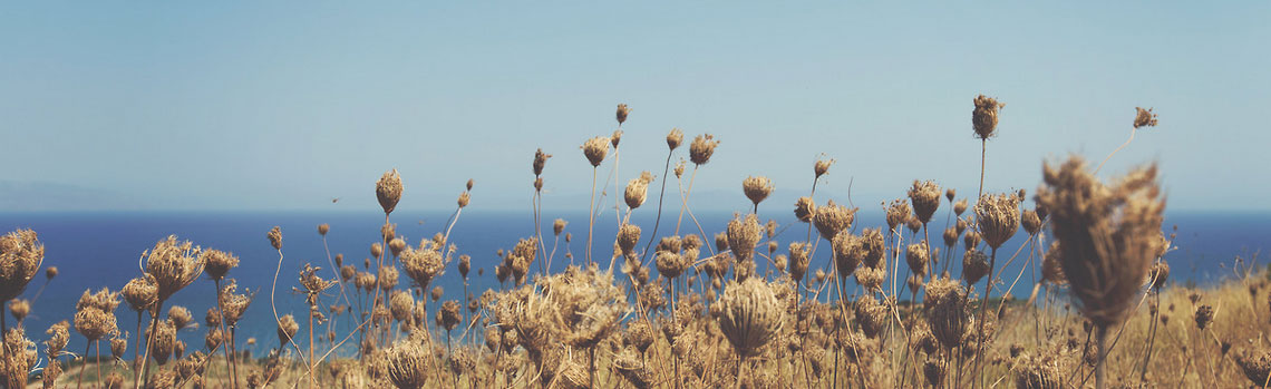 ddos压力测试平台